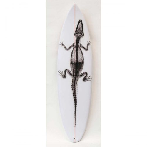 Black Gator White Board With Red Stringer, 2016. Unique Artist Surfboard by Steve Miller.