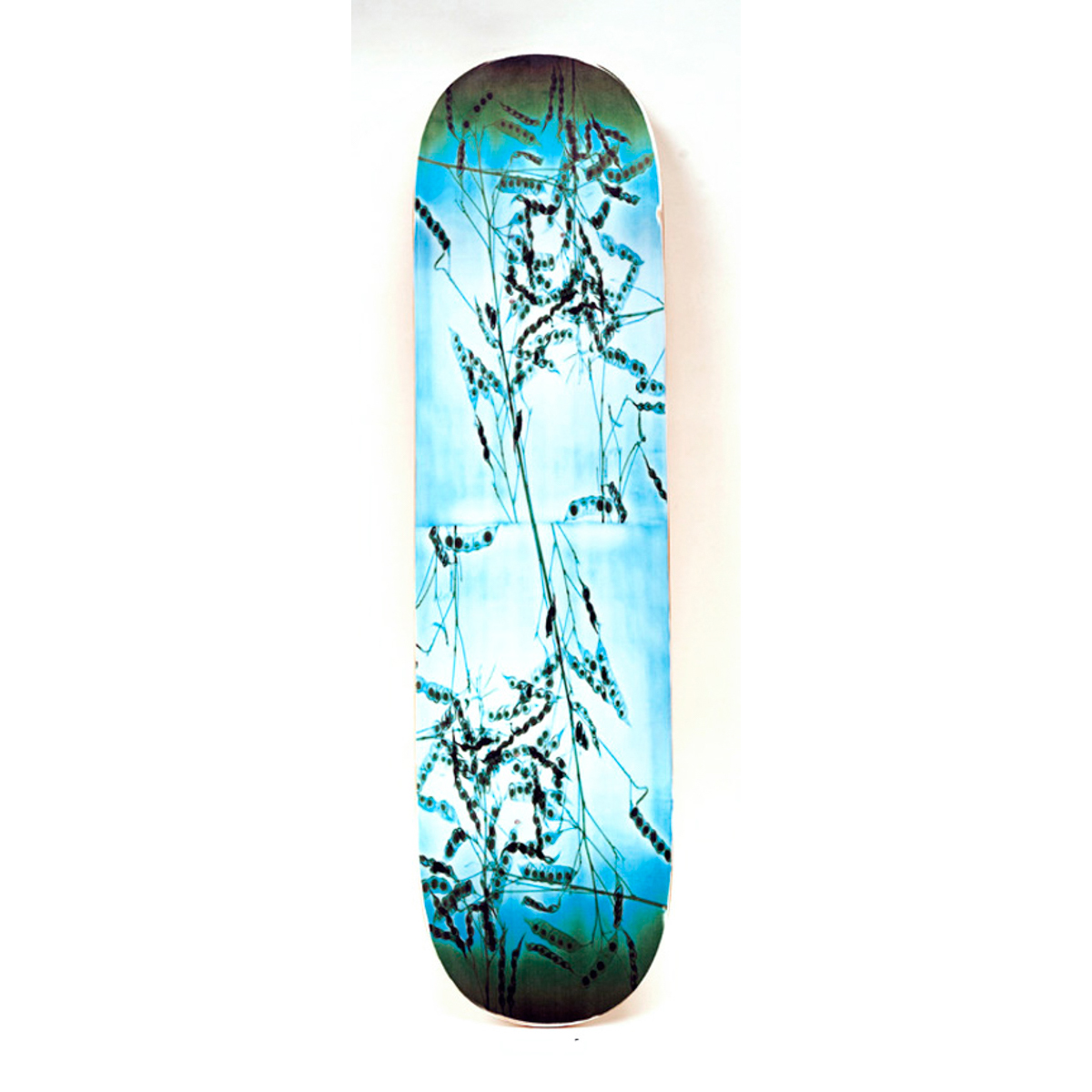 sap Keizer leren 020 Blue Pods, 2019. Unique Artist Skateboard by Steve Miller. -  Stevemiller Dot Art
